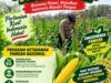 Kawal Swasembada Pangan, Polsek Jatirogo Pantau Langsung Tanaman Jagung di Paseyan