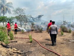Cepat Tanggap KARHUTLA, Bhabinkamtibmas Polsek Seteluk Bersama Damkar Berhasil Padamkan Kebakaran Lahan di Dusun Pamongo