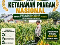 Mendukung Asta Cita Presiden bhabinkamtibmas Polsek Montong Polresta Tuban Pantau Kodisi Tanaman Jagung Milik Warga Desa pakel