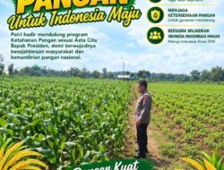 Polri Dukung Astacita, Polsek Merakurak Polresta Tuban Turun Cek Tanaman Jagung Warga di Desa Tuwiri Wetan