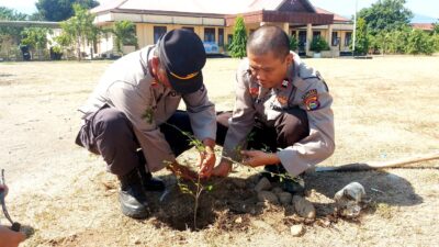 Wujudkan Lingkungan Asri dan Hijau, Polsek Alas Gelar Aksi Penanaman Pohon Ketapang Kencana Lewat Program Green Policing