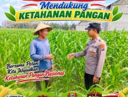 Anggota Bhabinkamtibmas Polsek Senori Polresta Tuban Lakukan Pemantauan Tanaman Jagung Warga Desa Jatisari Dukung Program Ketahanan Pangan