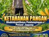 Mendukung Program Ketahanan Pangan, Bhabinkamtibmas Monitoring Pertumbuhan Jagung