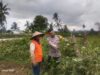 BHABINKAMTIBMAS DESA KADINDI AJAK WARGA MANFAATKAN PEKARANGAN RUMAH UNTUK DUKUNG KETAHANAN PANGAN