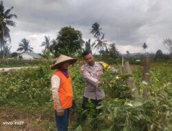 BHABINKAMTIBMAS DESA KADINDI AJAK WARGA MANFAATKAN PEKARANGAN RUMAH UNTUK DUKUNG KETAHANAN PANGAN