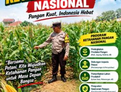Dukung Astacita, Polsek Jatirogo Cek Langsung Ladang Jagung Warga Desa Bader