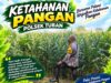 Bhabinkamtibmas Polsek Tuban Pantau Lahan Pertanian Jagung, Dukung Ketahanan Pangan Nasional