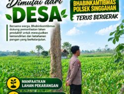 Anggota Polsek Singgahan Polresta Tuban Turun Cek Tanaman jagung Warga di Desa Mulyorejo