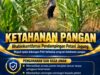 Mendukung Program Ketahanan Pangan, Bhabinkamtibmas Monitoring Pertumbuhan Jagung