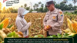 POLSEK BANGILAN DUKUNG KETAHANAN PANGAN NASIONAL MELALUI MONITORING DAN PENDAMPINGAN HASIL PANEN JAGUNG WARGA