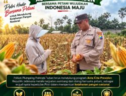 POLSEK BANGILAN DUKUNG KETAHANAN PANGAN NASIONAL MELALUI MONITORING DAN PENDAMPINGAN HASIL PANEN JAGUNG WARGA