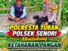 Bhabinkamtibmas Polsek Senori Polresta Tuban Lakukan Pemantauan Tanaman Jagung Warga Desa Wanglukulon Program Ketahanan Pangan