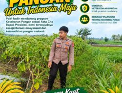 Anggota Polsek Singgahan Polresta Tuban Turun Cek Tanaman jagung Warga di Desa Tingkis