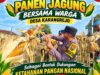 Dukung Ketahanan Pangan Nasional, Briptu Dodi Eko Anggota Polsek Bancar Ikut Panen Jagung Bersama Warga Karangrejo