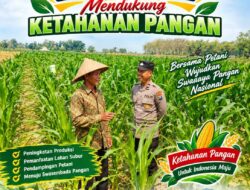 Bhabinkamtibmas Polsek Senori Polresta Tuban Pantau Tanaman Jagung Warga Desa Jatisari Guna Dukung Ketahanan Pangan Nasional