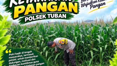 Polsek Tuban Dukung Ketahanan Pangan Nasional Melalui Pemantauan Lahan Jagung