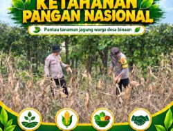 Polsek Bangilan Polresta Tuban laksanakan Monitoring Ketahanan pangan