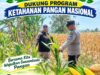 Polsek Palang Dukung Ketahanan Pangan Nasional Melalui Pemantauan Lahan Jagung