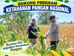 Polsek Palang Dukung Ketahanan Pangan Nasional Melalui Pemantauan Lahan Jagung