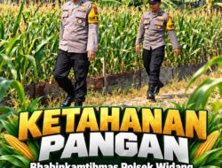 Mendukung Program Ketahanan Pangan, Bhabinkamtibmas Monitoring Pertumbuhan Jagung