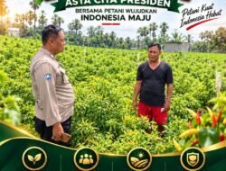 Polsek Plumpang Polresta Tuban Turun Langsung Cek Tanaman Jagung Warga