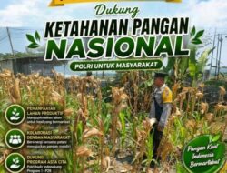 Polsek Rengel Polresta Tuban menyatakan komitmen penuh dalam mendukung program ketahanan pangan nasional