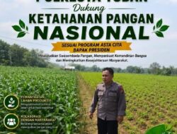 Polri Dukung Astacita, Polsek Merakurak Polresta Tuban Turun Cek Tanaman Jagung Warga di Desa Tuwiri Wetan