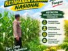 Kawal Swasembada Pangan, Polsek Jatirogo Pantau Langsung Tanaman Jagung di Paseyan