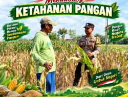 Program Ketahanan Pangan Bhabinkamtibmas Polsek Senori Polresta Tuban Lakukan Pemantauan Tanaman Jagung Warga Desa Wanglukulon