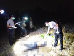 Warga Lape Digegerkan Penemuan Mayat Perempuan di Area Persawahan, Korban yang Sempat Dilaporkan Hilang Dievakuasi Polsek Lape