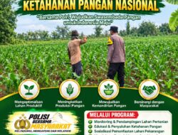 POLSEK KEREK DAMPINGI PETANI, WUJUDKAN KETAHANAN PANGAN NASIONAL