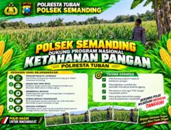 Polri Dukung Astacita, Polsek Semanding Polresta Tuban Turun Cek Tanaman jagung milik Warga di Desa Kowang