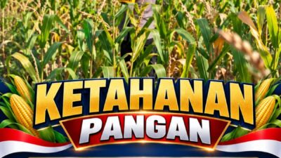 Mendukung Program Ketahanan Pangan, Bhabinkamtibmas Monitoring Pertumbuhan Jagung