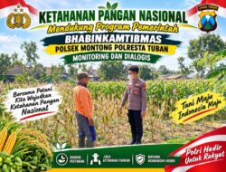 Mendukung Asta Cita Presiden bhabinkamtibmas Polsek Montong Polresta Tuban Pantau Kodisi Tanaman Jagung Milik Warga Desa pakel