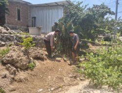 Bhabinkamtibmas Desa Labangka Sambangi Pekarangan Pangan Produktif Warga di Dusun Beringin Jaya