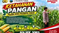Polsek Soko Polresta Tuban Turun Langsung Cek Tanaman Jagung Warga
