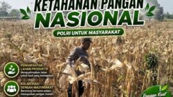 Polri Dukung Astacita, Polsek Rengel Polresta Tuban Turun Cek Tanaman Jagung Warga di Desa Sawahan
