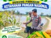 Polsek Palang Dukung Ketahanan Pangan Nasional Melalui Pemantauan Lahan Jagung