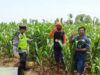 Polri Dukung Astacita, Polsek jenu Polres Tuban Turun Cek Tanaman Jagung Warga di Desa Jenu