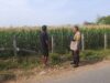 Dukung Program Asta Cita Presiden RI, Bhabinkamtibmas Desa Kukin Dorong Petani Manfaatkan Lahan untuk Tanaman Hortikultura