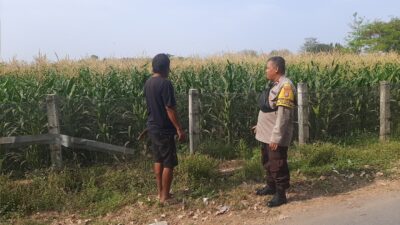 Dukung Program Asta Cita Presiden RI, Bhabinkamtibmas Desa Kukin Dorong Petani Manfaatkan Lahan untuk Tanaman Hortikultura