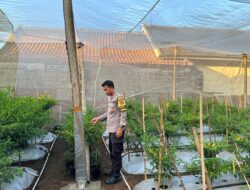Bhabinkamtibmas Desa Kumbang Sambangi Warga dan Monitoring Ketahanan Pangan, Dukung Swasembada Pangan Nasional
