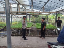 Bhabinkamtibmas Desa Paokmotong Bripka Firman Setiawan Monitoring Lahan Pekarangan Pangan Bergizi Dukung Ketahanan Pangan